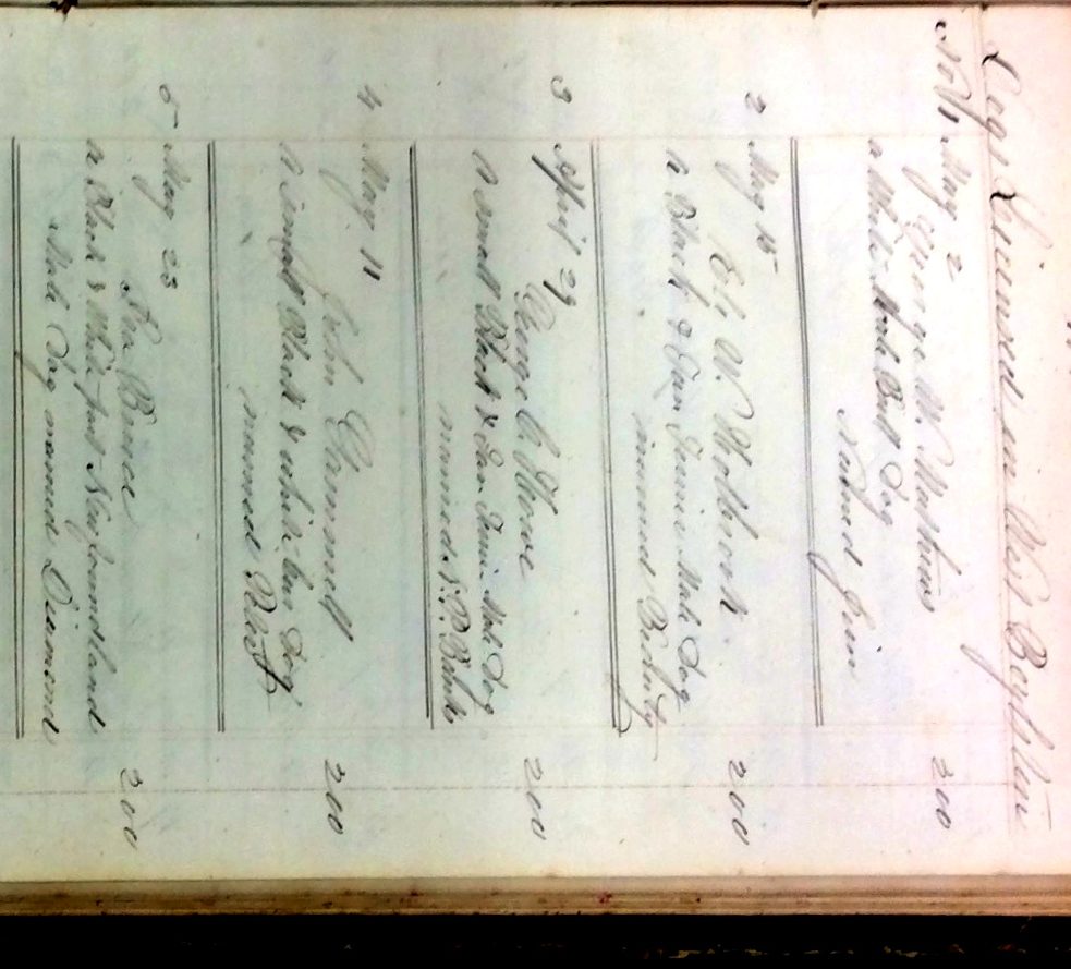 Image of record of dog licenses from 1800s