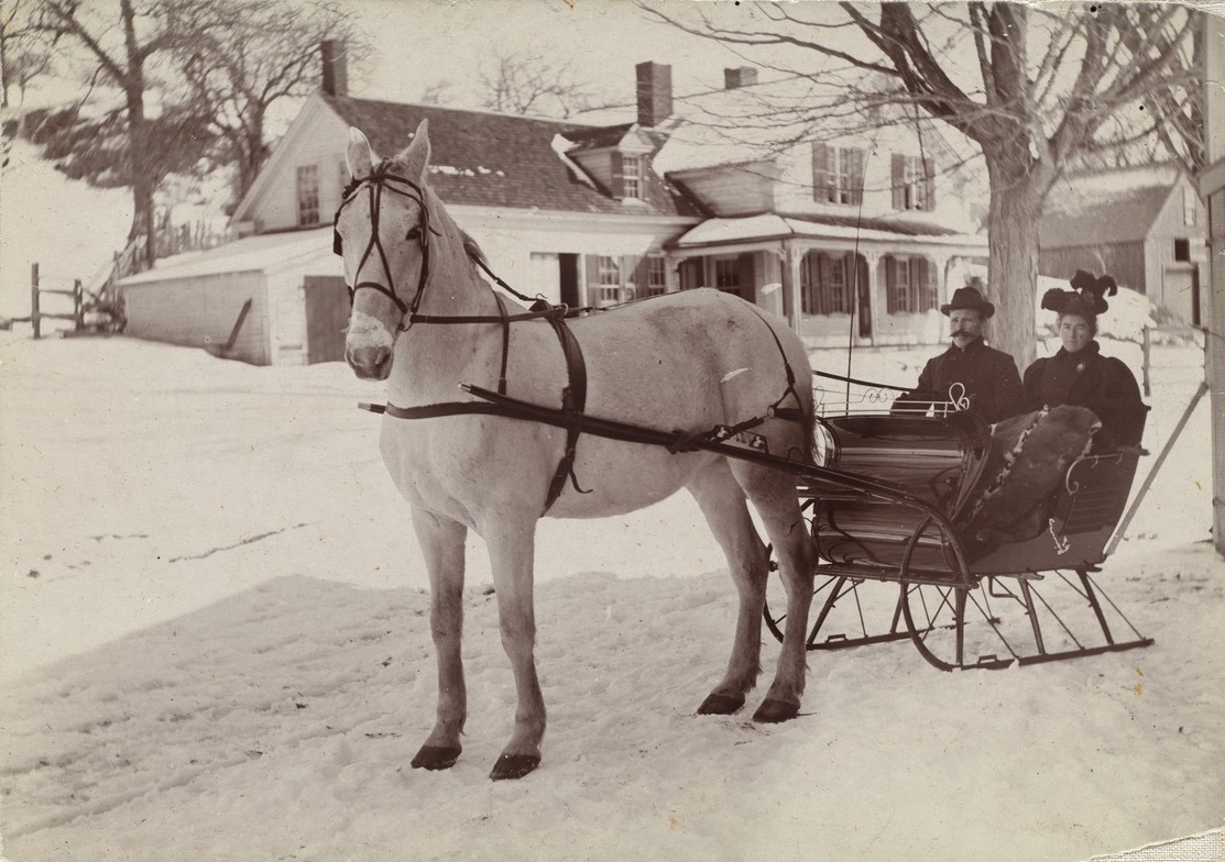 Higgins Couple in horse drawn sleigh