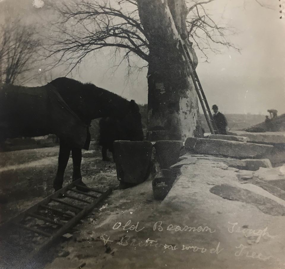 WaterTrough, photograph 