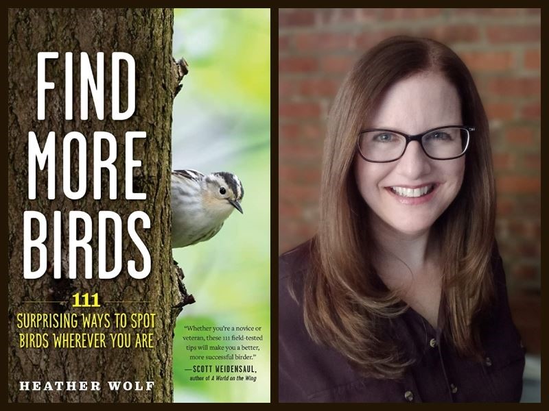 Virtual - Author Heather Wolf Discusses "Find More Birds: 111 Surprising Ways to Spot Birds Wherever You Are" Again