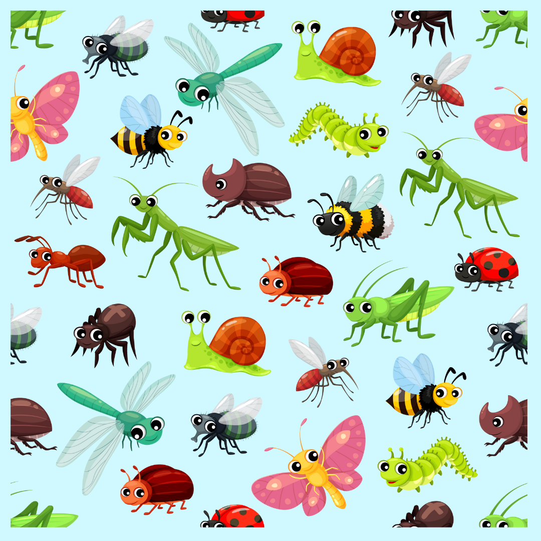 Insects are Our Friends - Story and Craft