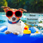 A photograph of a dog floating in a pool on an inflatable raft while wearing sunglasses.
